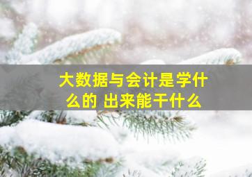 大数据与会计是学什么的 出来能干什么